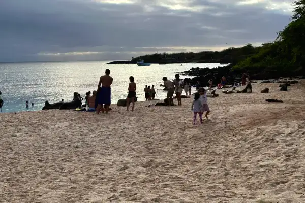 La mejor época para hacer snorkel en Galápagos