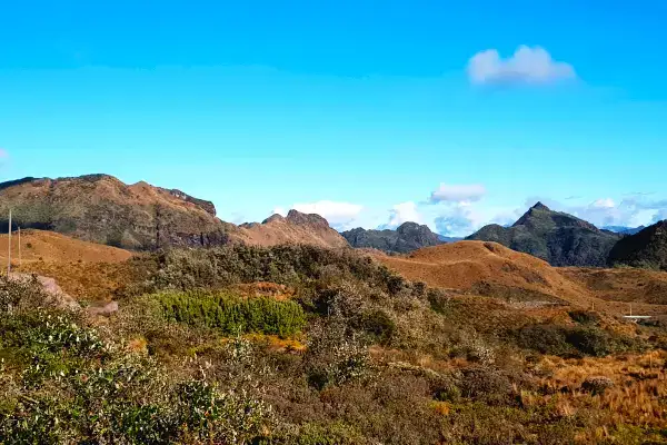 Papallacta paramo birdwatching