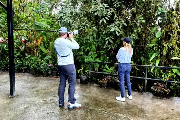 Best bird watching tours in Ecuador