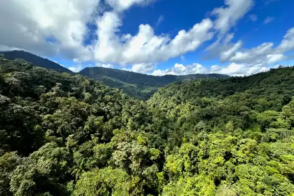 Mindo cloud forest