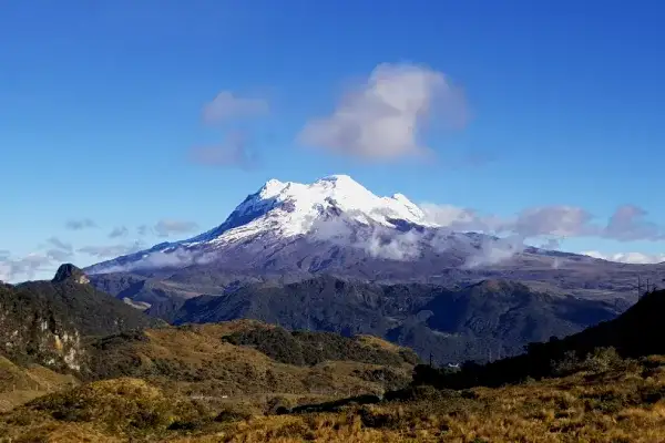 Wild Ecuador