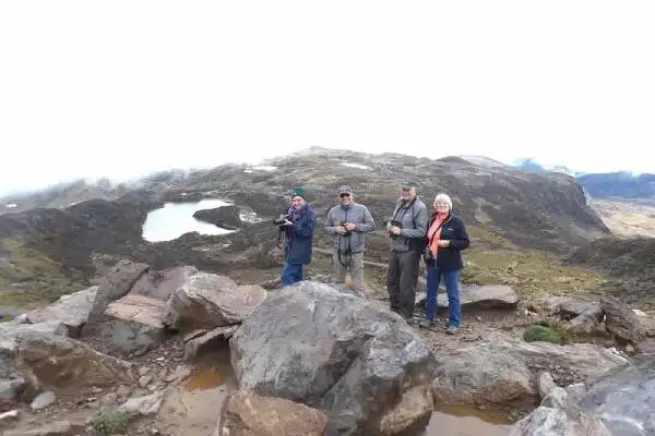 Amazing Birding Tour Ecuador