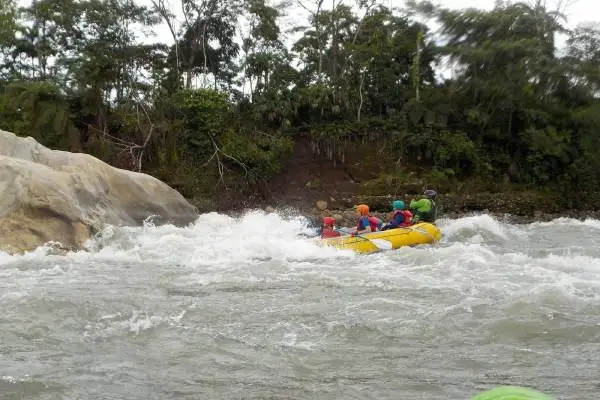 Amazon Rainforest Tour