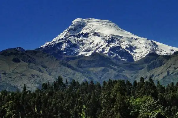 Volcán Cayambe cubierto de nieve visto desde los bosques andinos