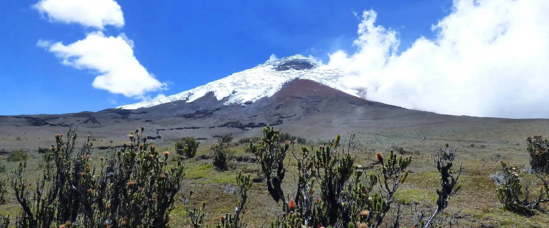 Cotopaxi, Quilotoa and Baños