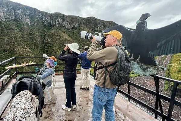 Tourists with telephoto cameras watching Andean condors from a viewing platform in the mountains