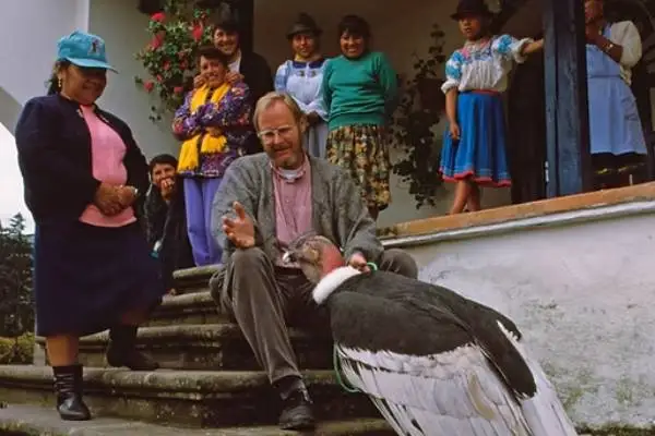 Andean Condor Protection