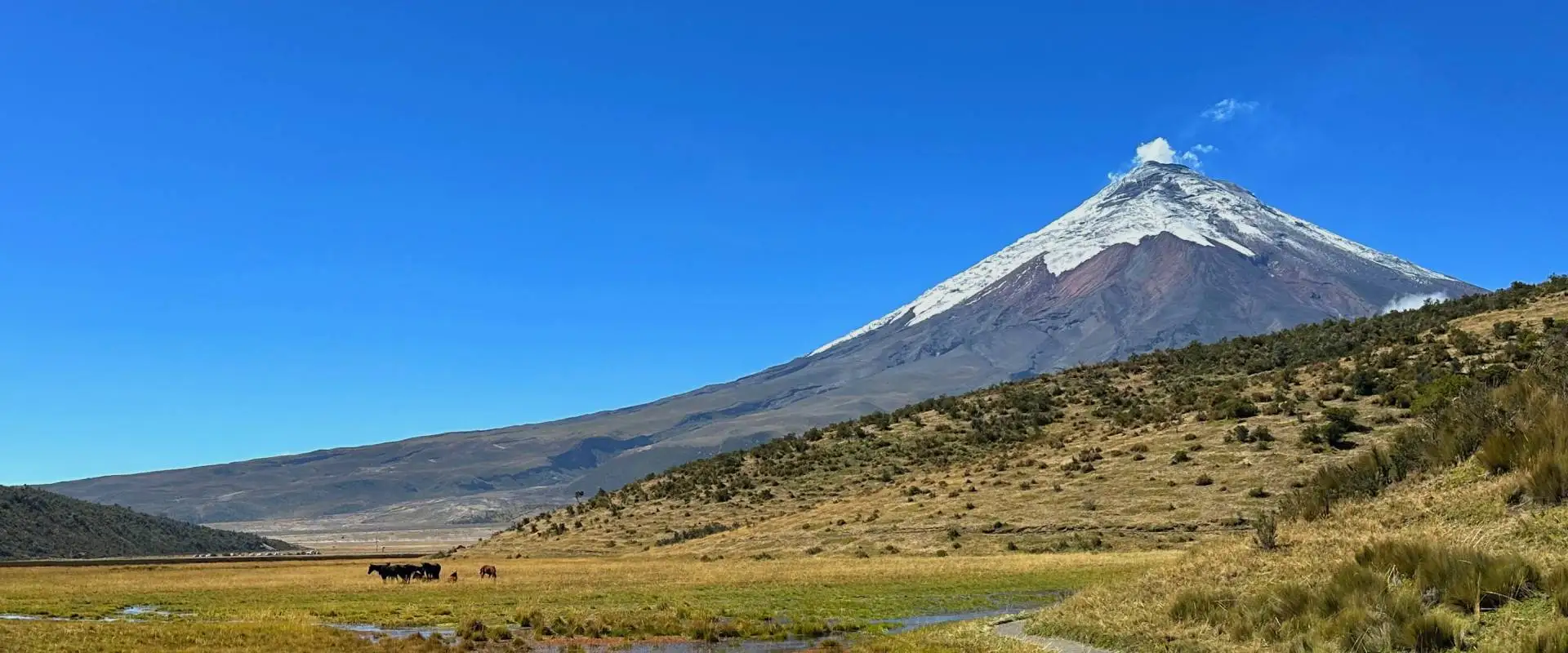 Cotopaxi volcano sunrise