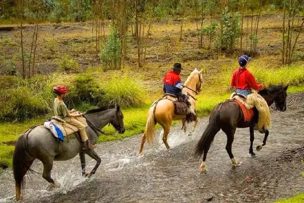 Horseback riding