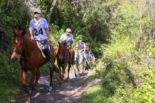 Horseback riding tour