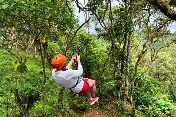 Canopy Mindo (optional)