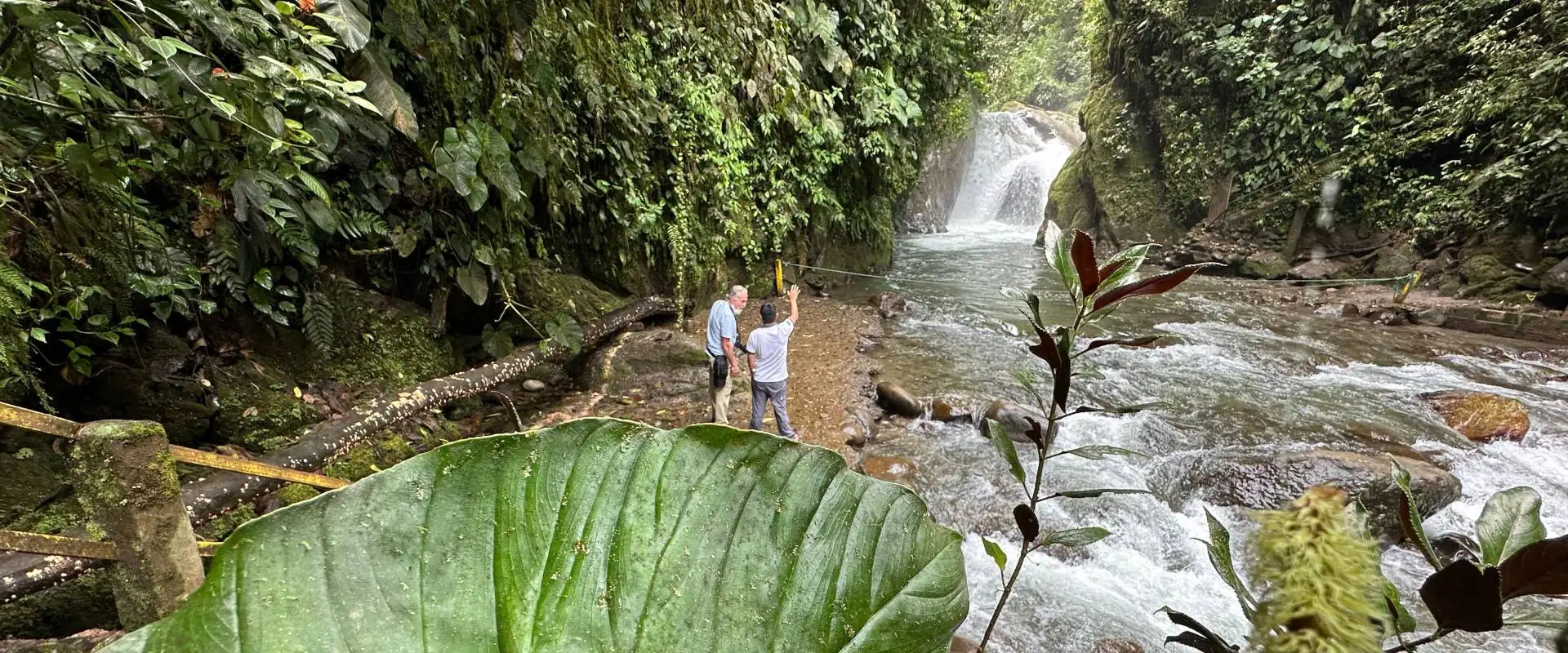 Mindo cloud forest