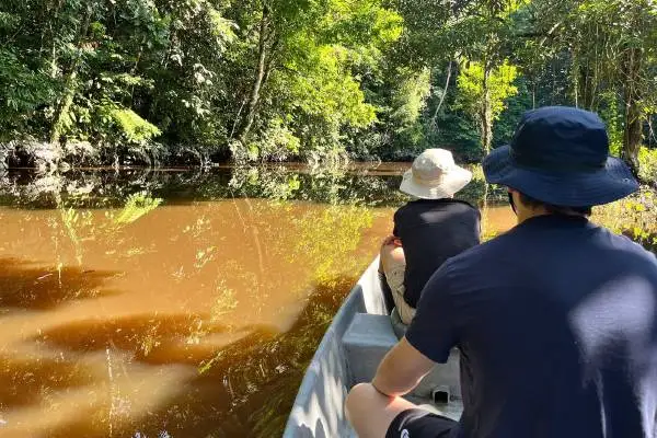 Yasuni rainforest wildlife