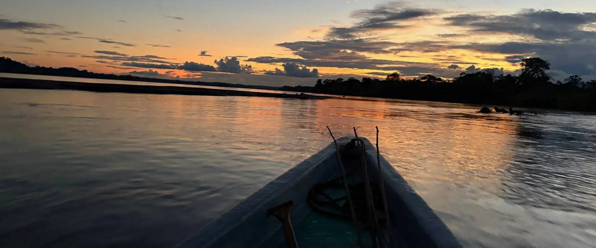 Yasuni Tour: 3 Days and 2 Nights in Yasuni National Park