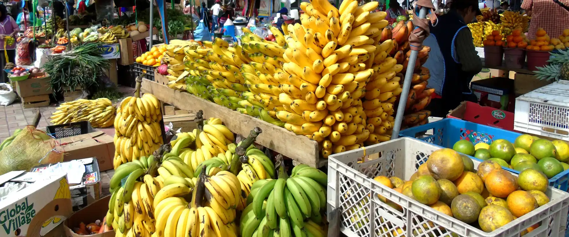 zumbahua market ecuador