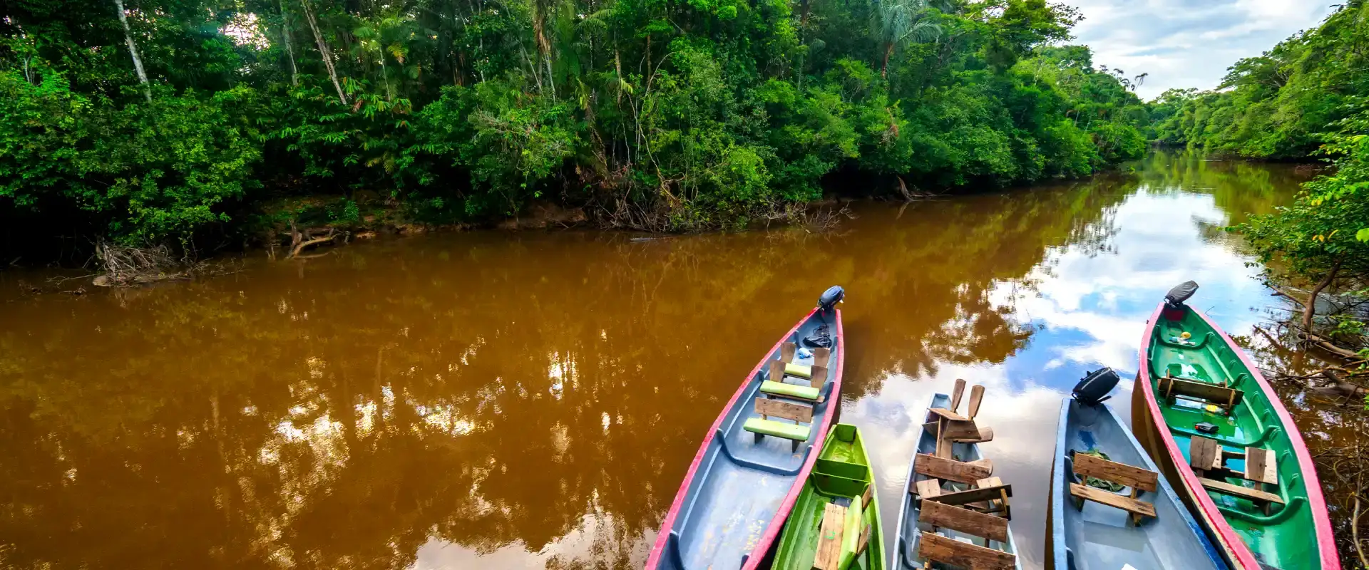 amazon tours