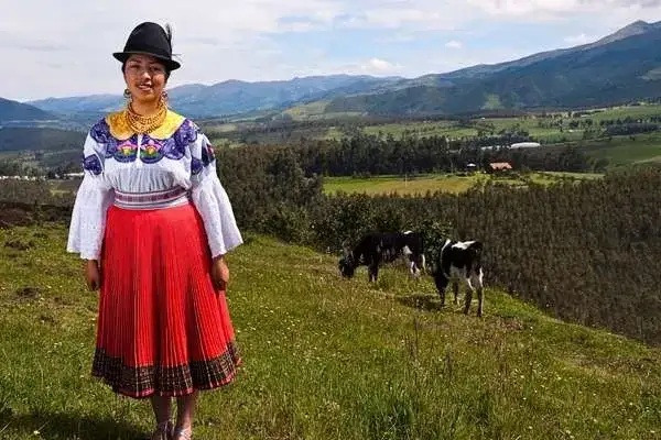 Indigenous Andean woman in traditional dress standing in a highland pasture with cattle