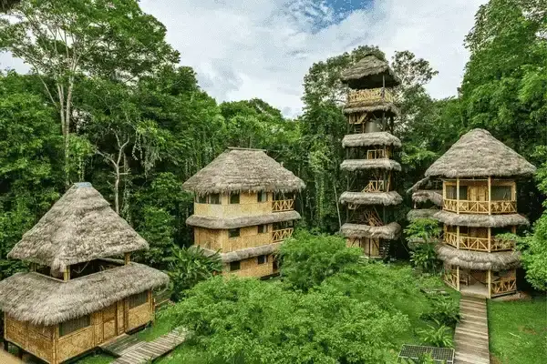Aerial view of a jungle lodge with thatched cabins and lookout tower in Cuyabeno Reserve
