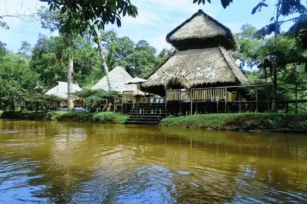 Thatched-roof lodge on stilts above a blackwater lagoon in Cuyabeno Reserve