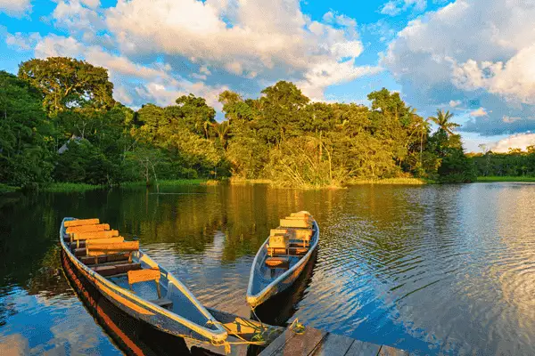 Wooden canoes moored at sunset on a Cuyabeno Reserve river