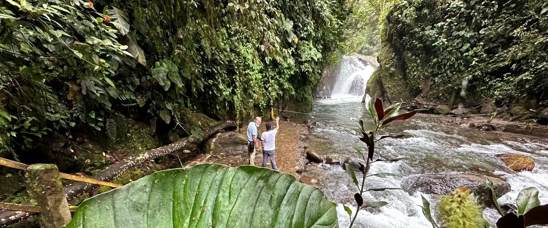 mindo waterfalls