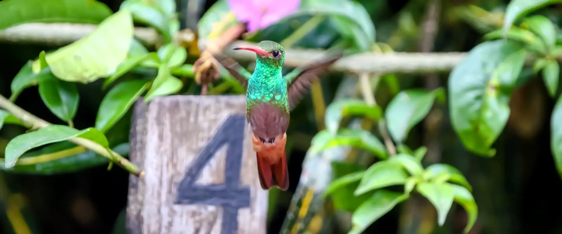 Ecuador multi-day tour packages: Andes landscape near Quito