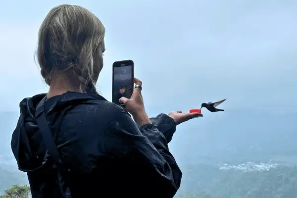 Cloud forest trail for early-morning birding in Mindo Pichincha Ecuador