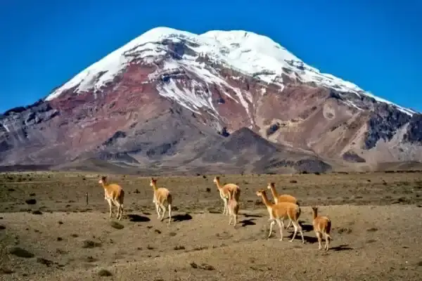Chimborazo volcano highest point from the center of the Earth