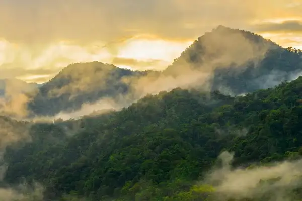 Mindo Valley Ecuador cloud forest landscape with lush green canopy