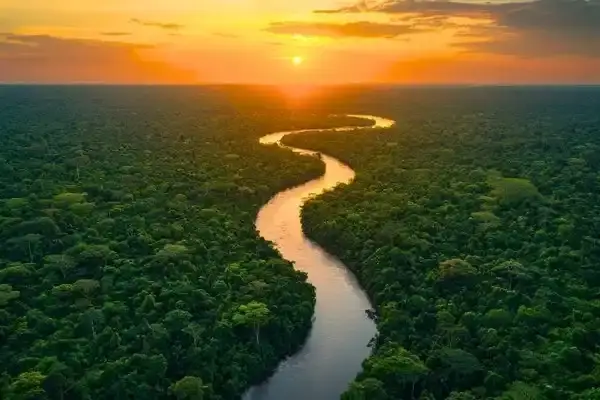 Aerial view of a winding river through Amazon rainforest at sunset
