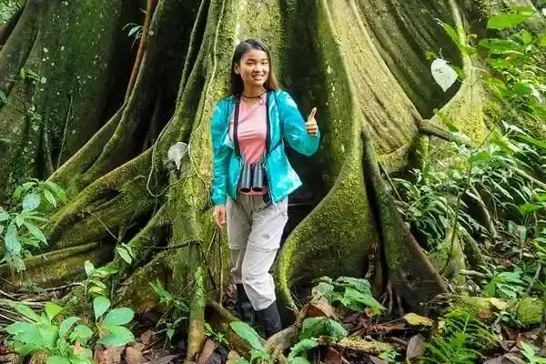 Woman giving a thumbs up beside a giant ceiba tree in the Amazon jungle