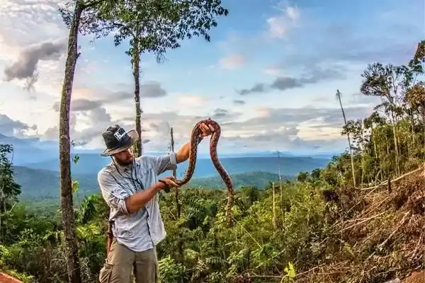 Local guide holding a snake during an Amazon rainforest wildlife tour