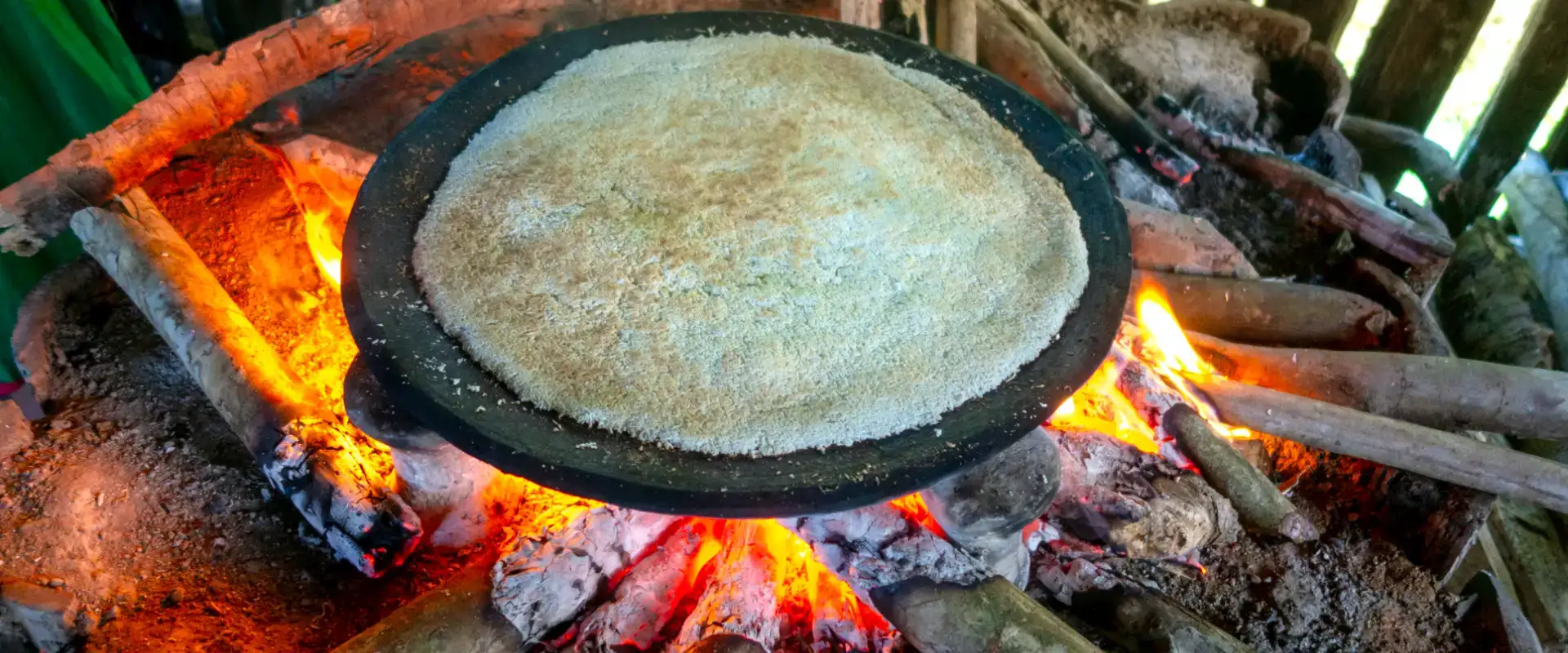 amazon rainforest food