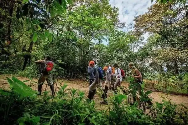 Hikers on a forest trail during a Mindo day trip from Quito, Ecuador