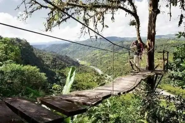 Travelers on a suspension bridge overlooking the Mindo cloud forest valley