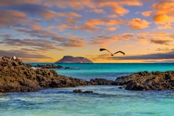 Sunset over volcanic rock coastline and island silhouette in the Galapagos