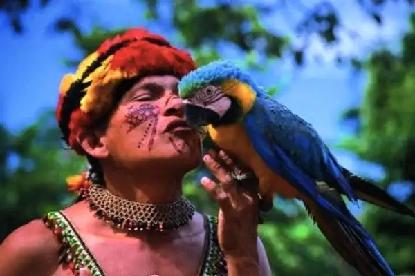 Indigenous community member in traditional headdress holding a blue-and-yellow macaw