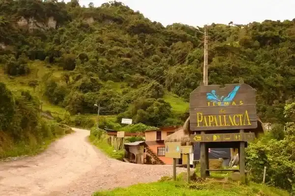 Wooden entrance sign for Termas de Papallacta at the start of the forested access road