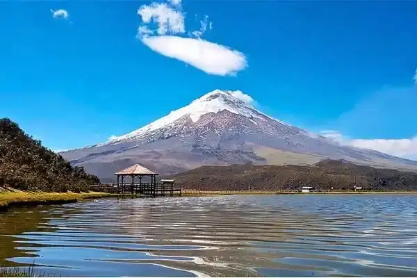 Snow-capped Cotopaxi volcano reflected in Limpiopungo Lagoon on a Cotopaxi day trip from Quito