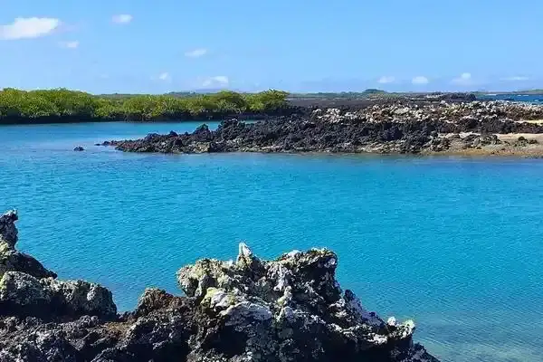 Lava rock coastline and turquoise water at Tintoreras islet