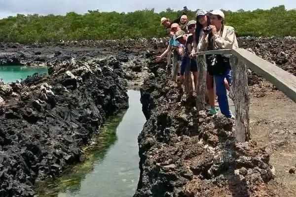 Visitors walking the boardwalk trail through Tintoreras islet