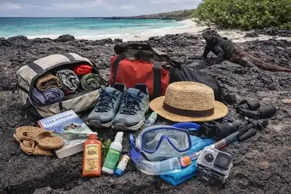 Snorkeling gear and hiking essentials packed for a Tintoreras tour