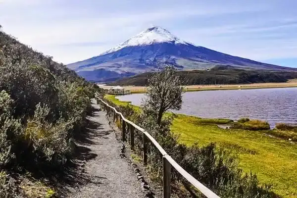 Trail along Limpiopungo Lagoon leading toward snow-capped Cotopaxi volcano