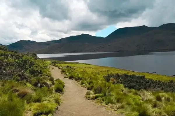 Hiking trail beside Laguna La Mica with mountains in Antisana Ecological Reserve