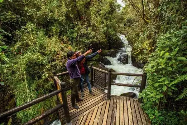 Hikers pointing at a waterfall from a wooden viewing platform in the cloud forest near Papallacta