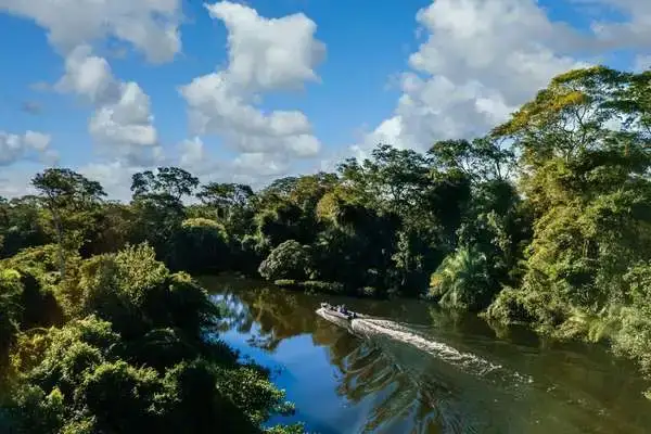 Boat cruising a jungle river through the Ecuadorian Amazon rainforest under a blue sky