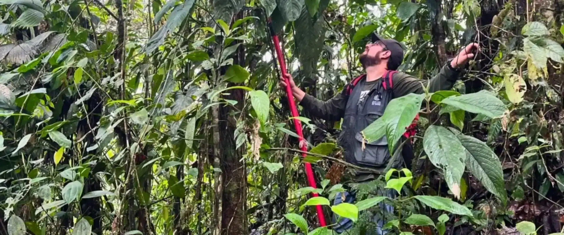 mashpi vs mindo cloud forest ecuador