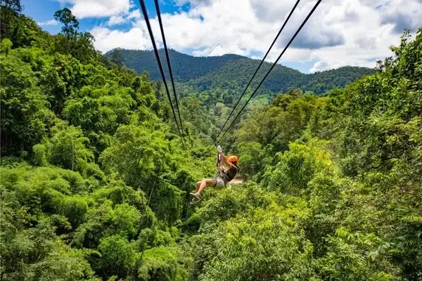 mindo zipline canopy aerial views