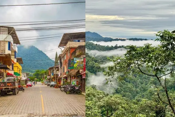 Mindo town vs Mashpi Lodge Ecuador cloud forest comparison