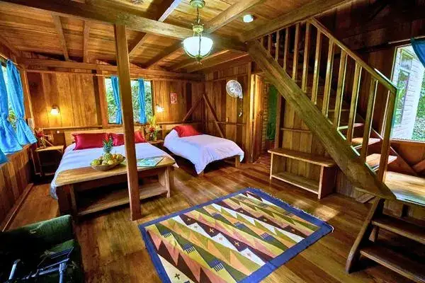 Mindo lodge mid-range room wood decor Ecuador
